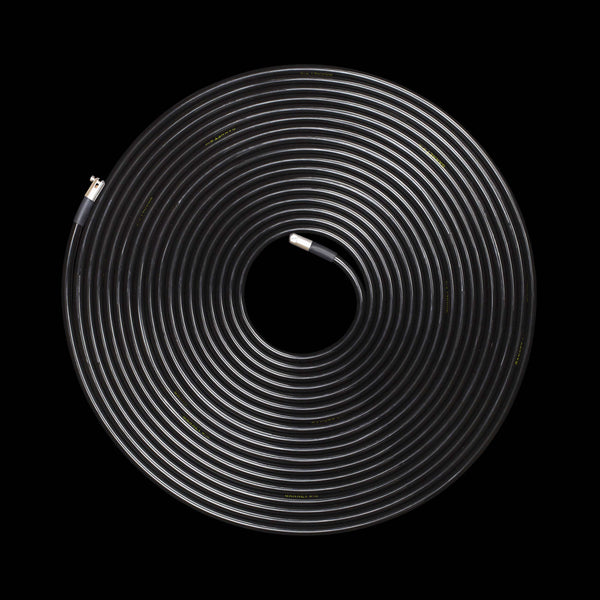 The Skinny with Gannet Bullets